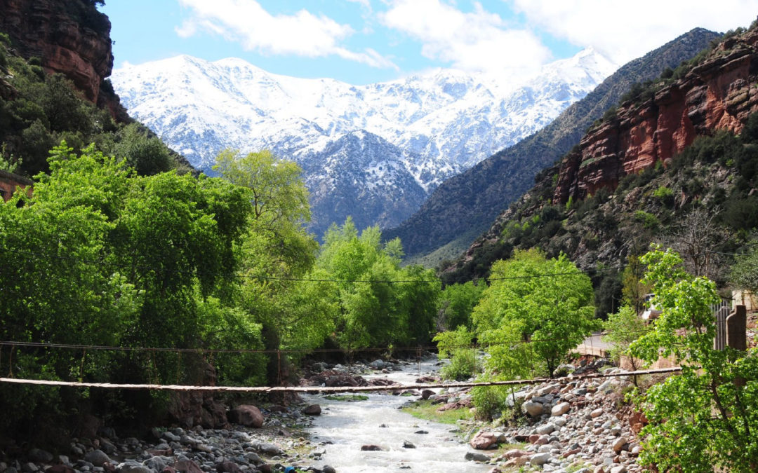 best 1 day trip to Ourika Valley