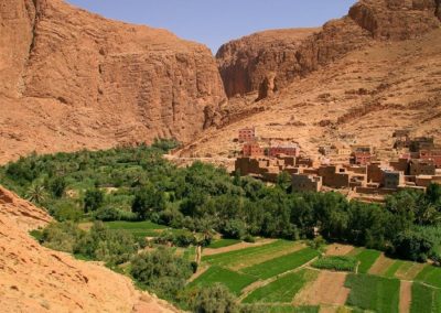 Best 7 Days Tour From Fes To Marrakech