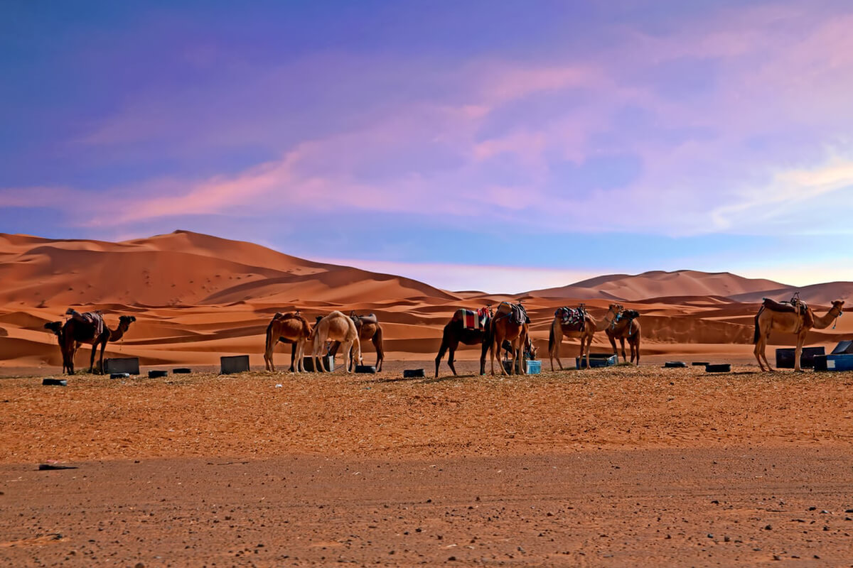 3 days from fes to marrakech via sahara desert tour
