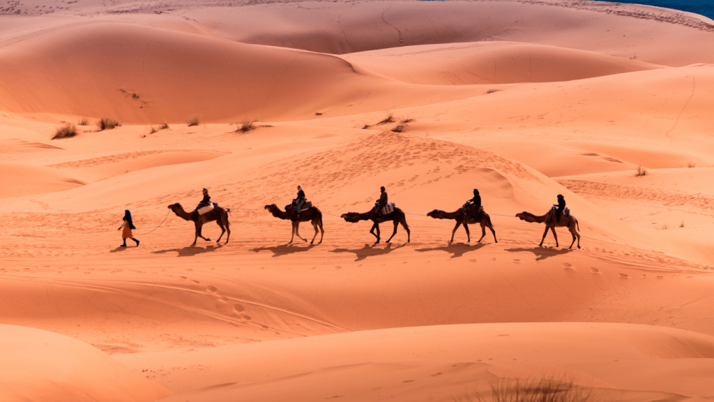 4 Days Desert Tour Fes To Marrakech