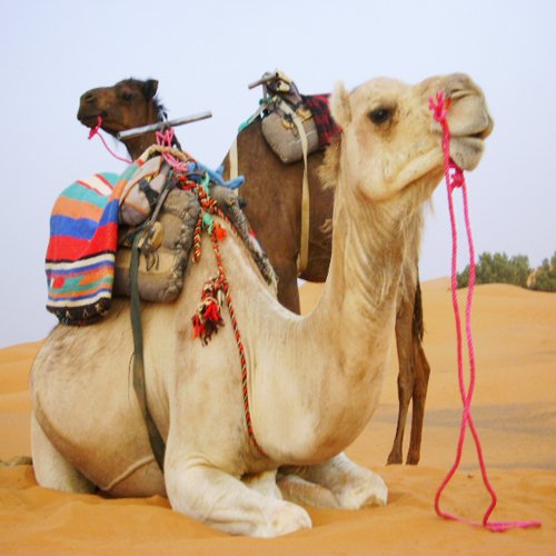 4-day Marrakech Desert Tour to Merzouga