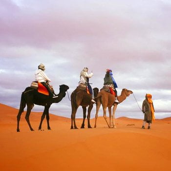 7 days tour from marrakech to desert