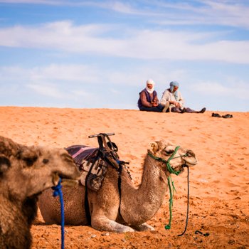 7 days tour from marrakech to desert