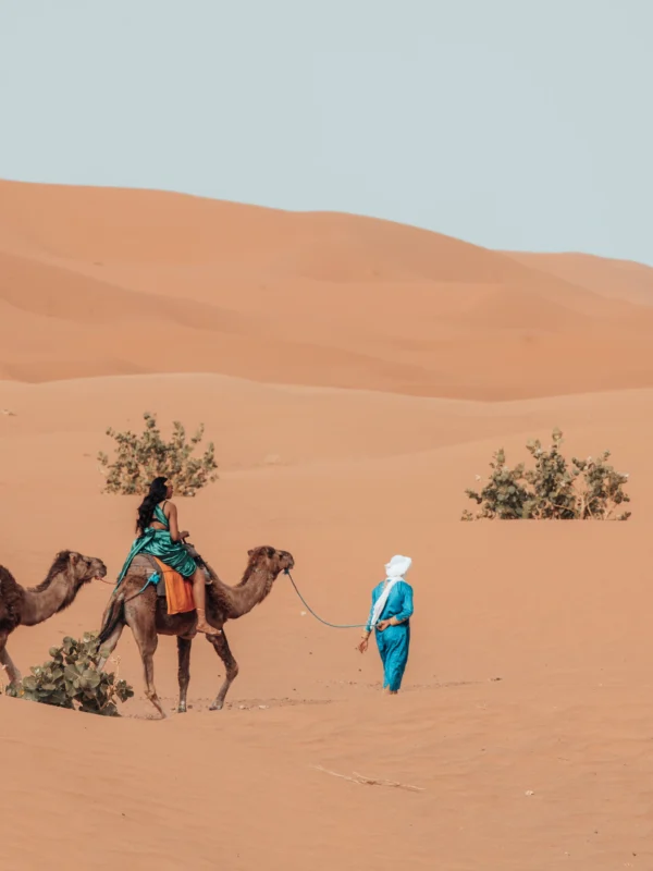 Tour de 2 días por el desierto