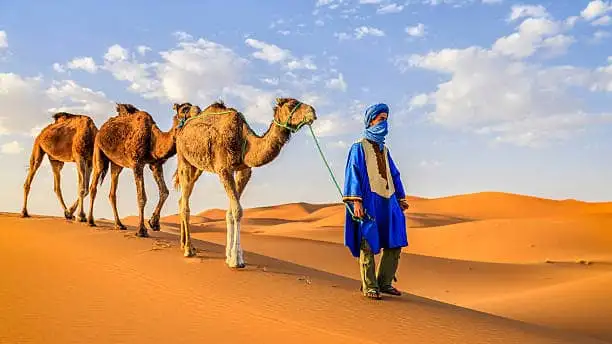 Tour di 7 giorni da Casablanca a Marrakech