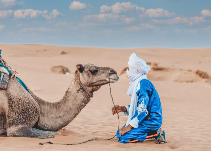 Why Morocco