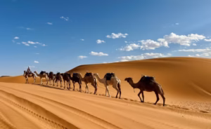 tour di 4 giorni da Marrakech