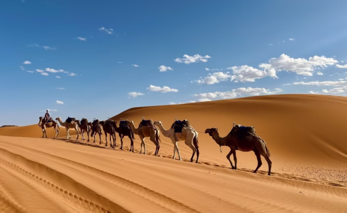 Incrível tour de 4 dias no deserto de Fes a Marrakech