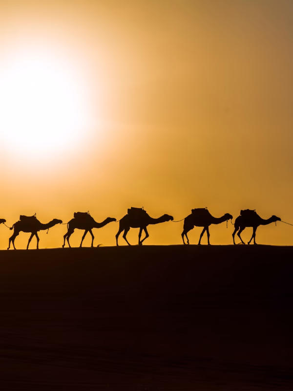 tour de 6 días por el desierto
