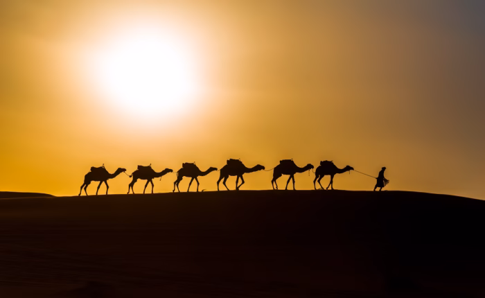 tour de 6 días por el desierto