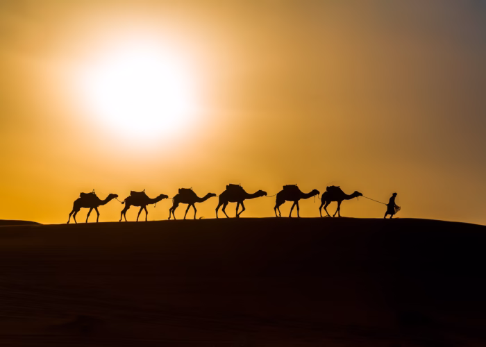 tour de 6 días por el desierto