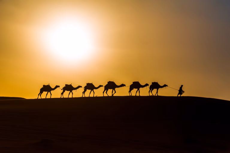Increíble tour de 6 días por el desierto de Fes a Marrakech